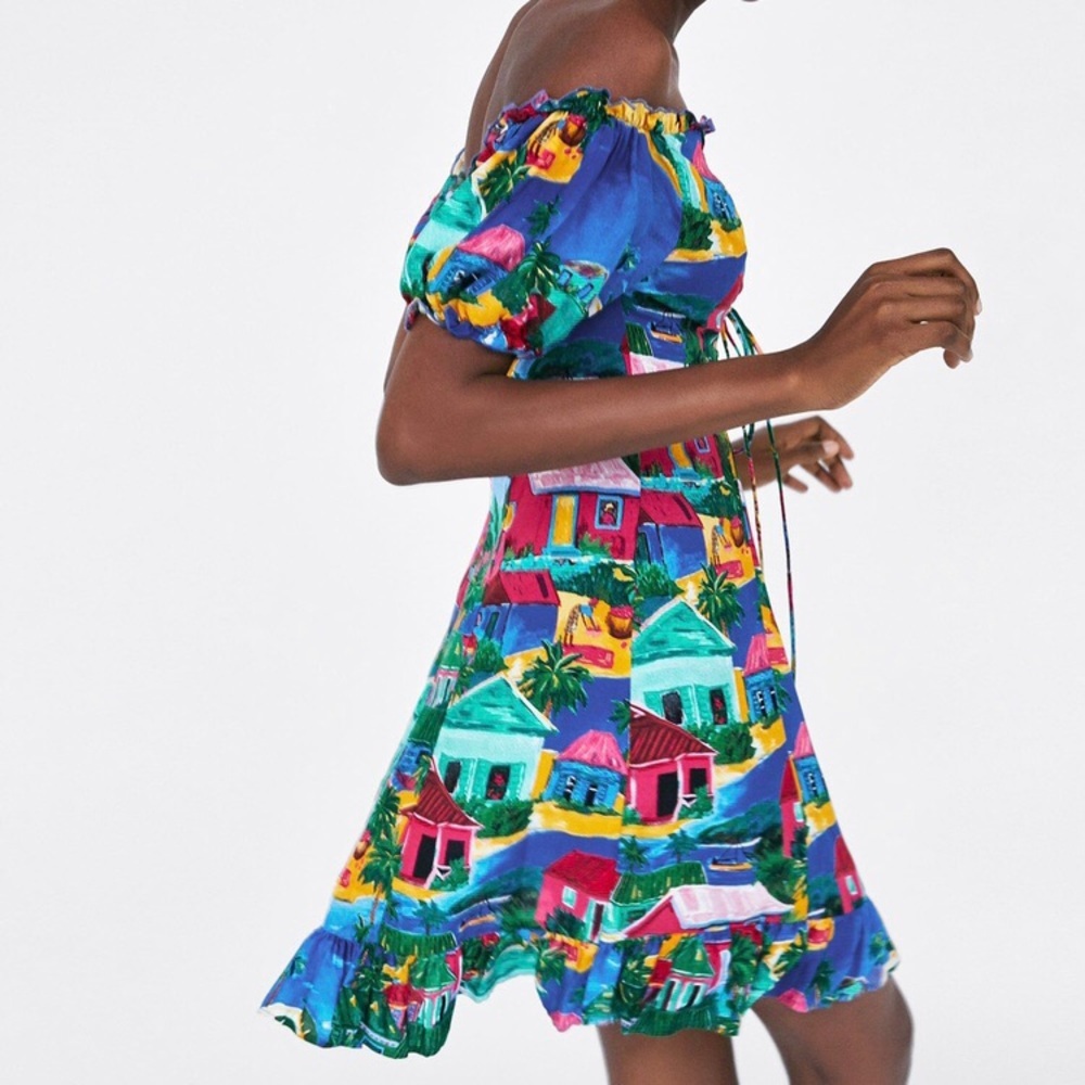 Zara Collection Landscape Print Dress